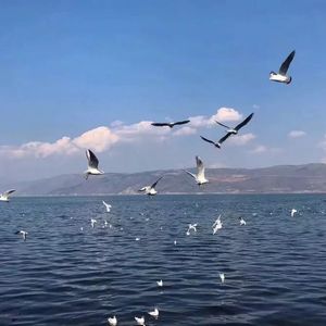 武藤绫香人妻系列91
